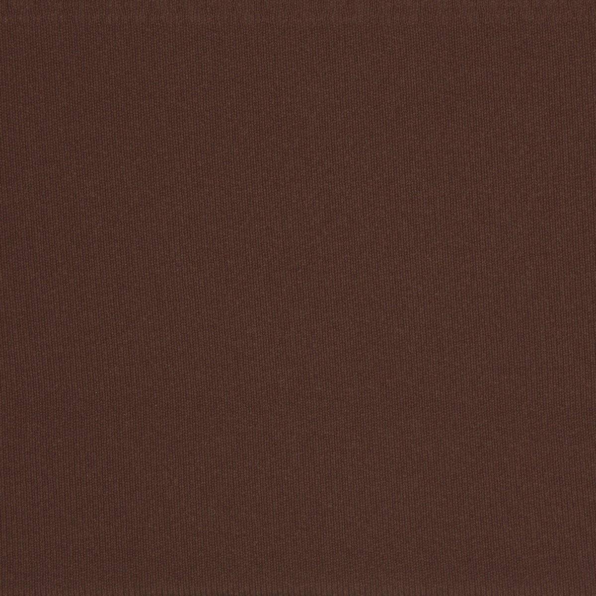 NAKED BIKINI | COCOA