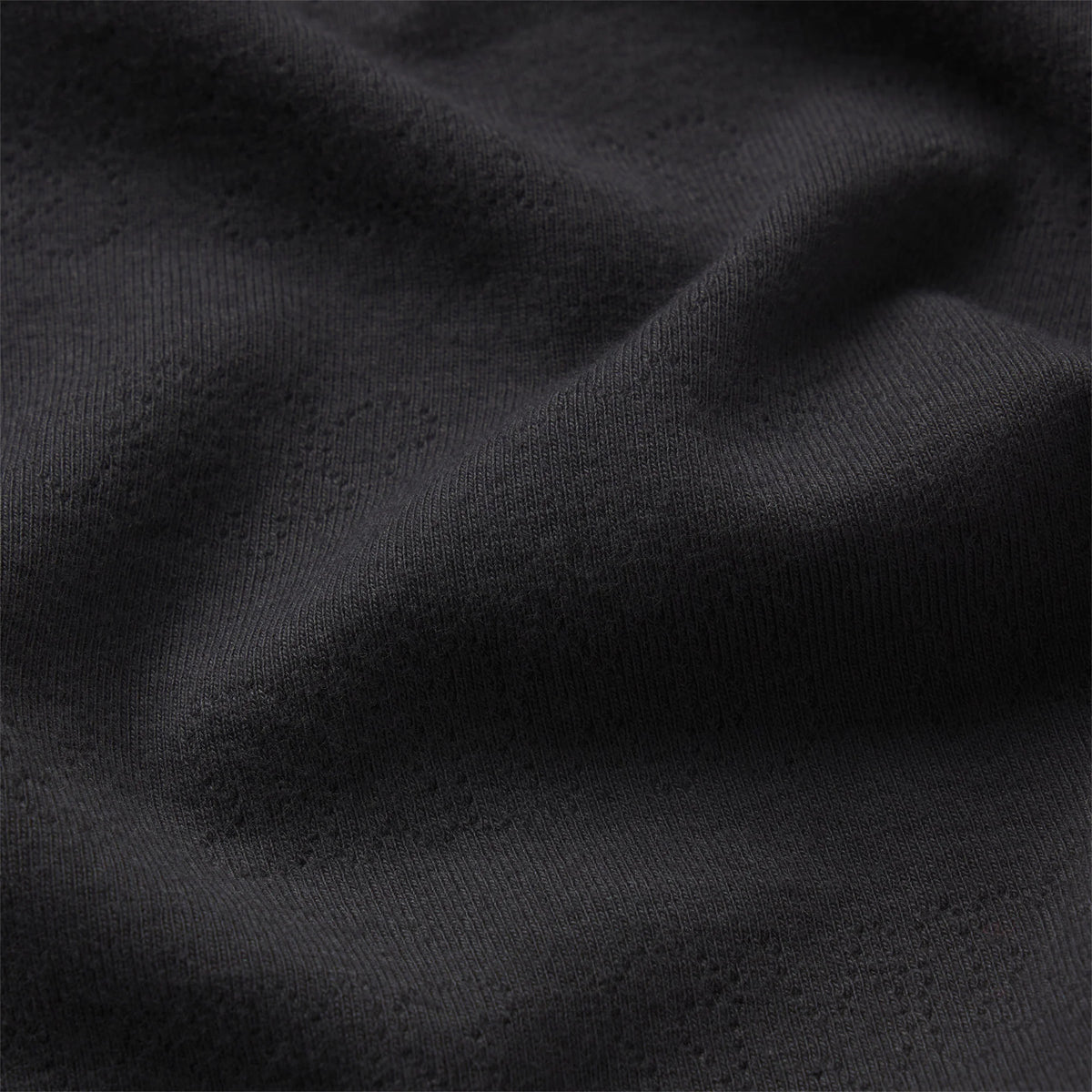 LOGO POINTELLE CAMI | ONYX