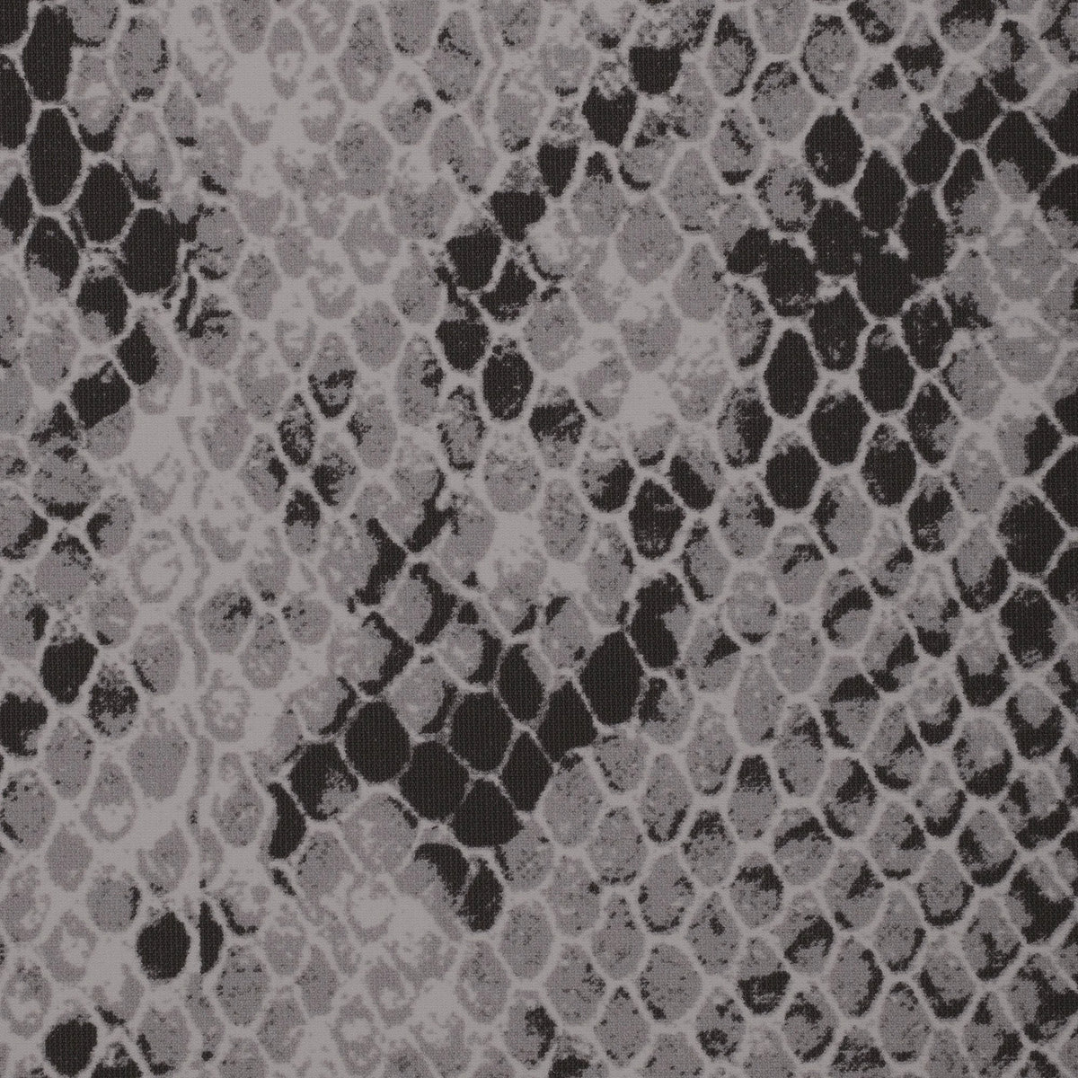 FITS EVERYBODY T-SHIRT | SHADOW SNAKE PRINT