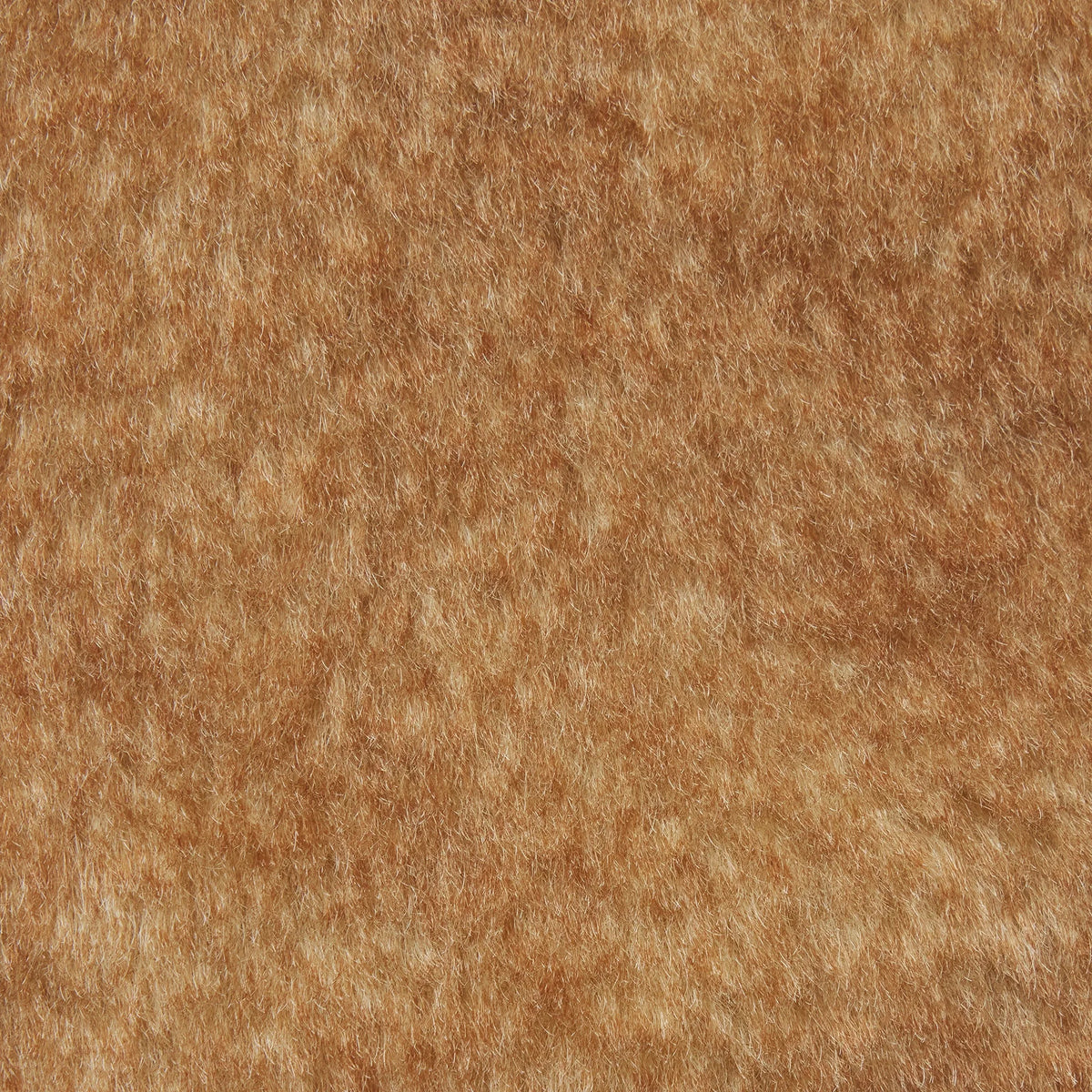 FAUX SHEARLING JACKET | TOASTED LATTE